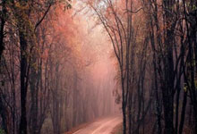 可获取MD5签名的JDK版本 分享