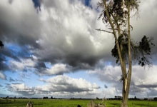 可获取MD5签名的JDK版本 分享